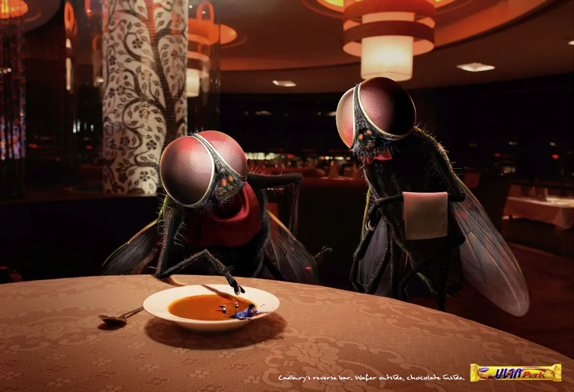 fliegen die am tisch sitzen