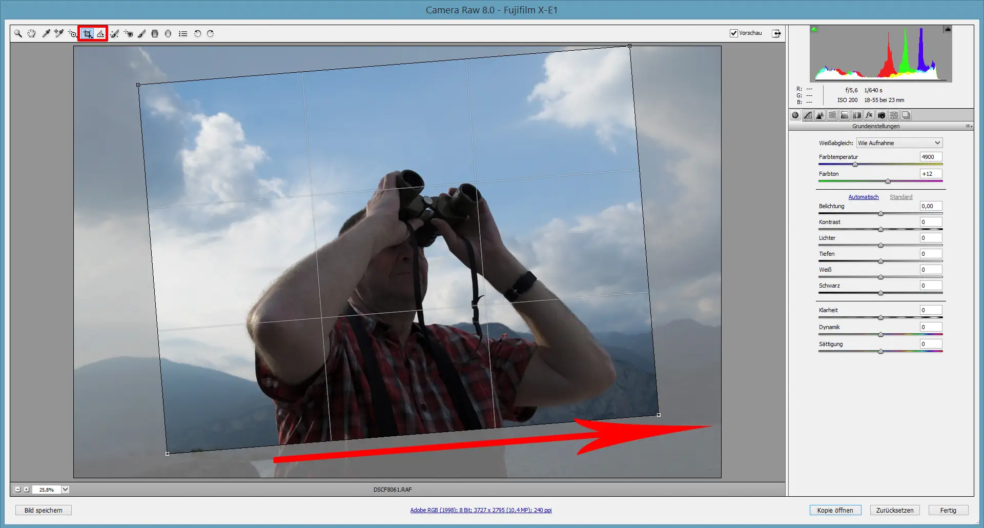 Camera RAW Photoshop 6