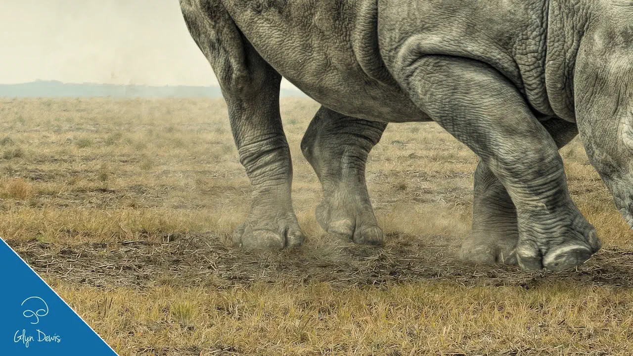 Create a Dust and Smoke Effect Brush - Photoshop Tutorial