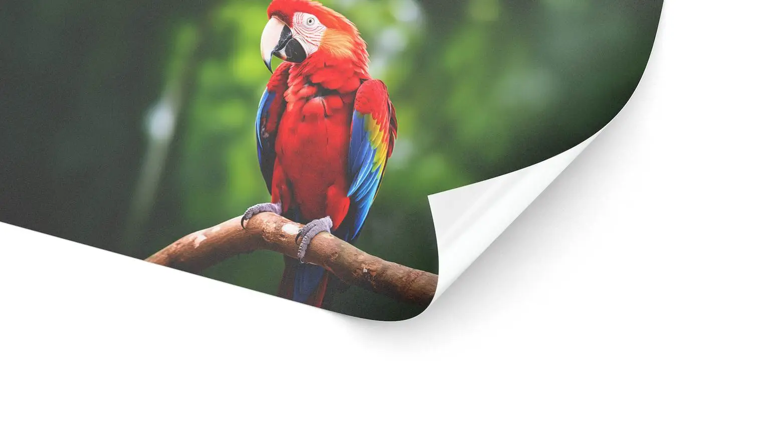 Bannerfolie (permanent)