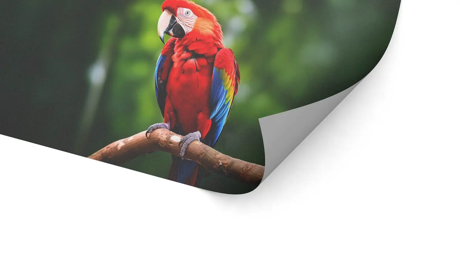 Fußbodenfolie (Anti-Rutsch)