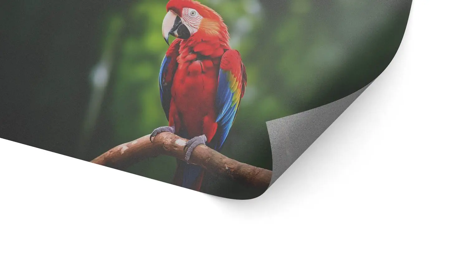 Glasdekorfolie (permanent)