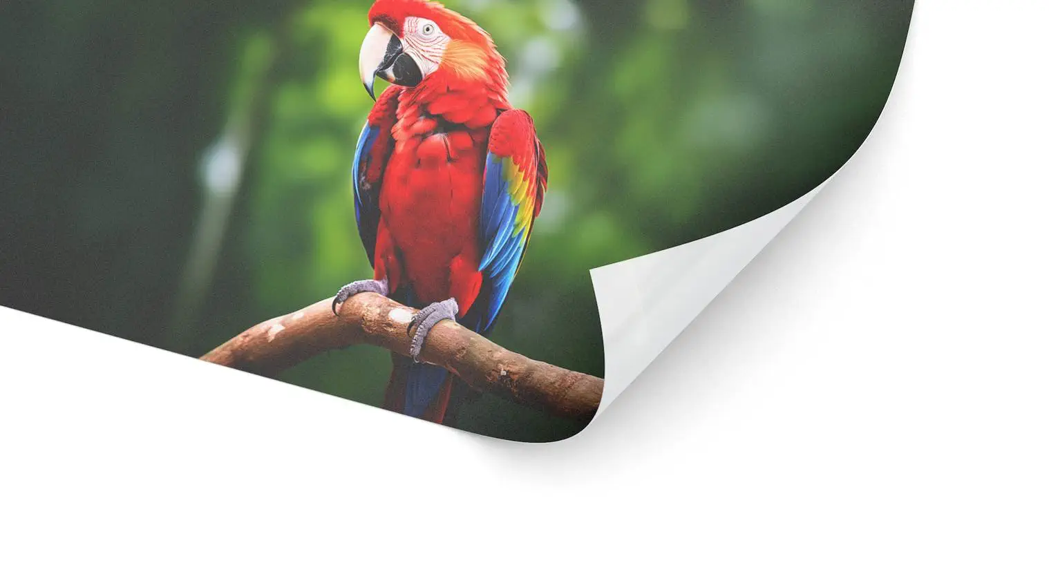 High-Tack-Folie (Anti-Rutsch)