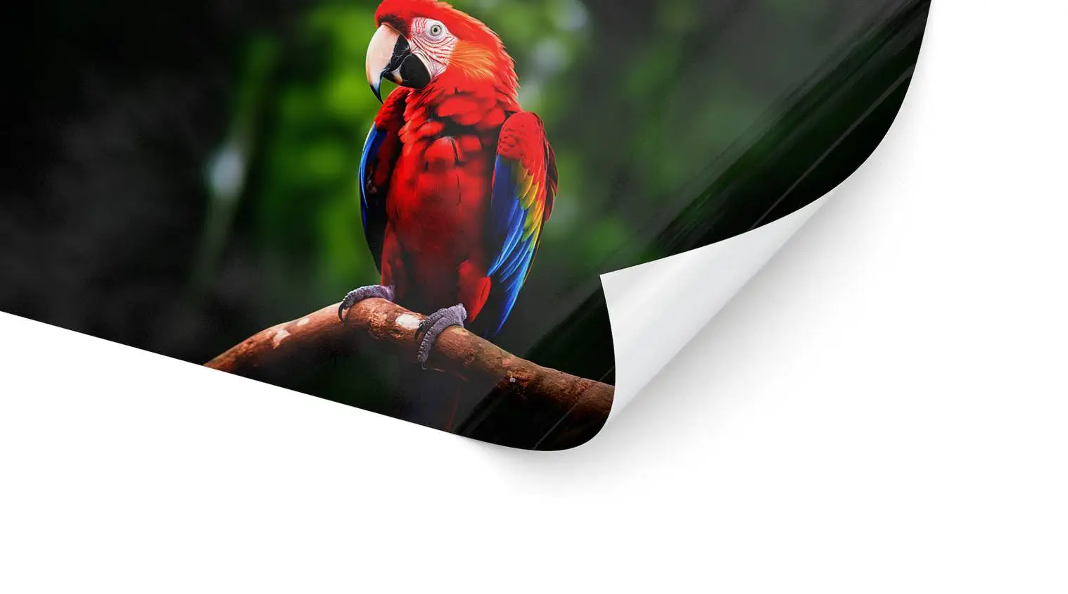 Standardfolie weiß (permanent)