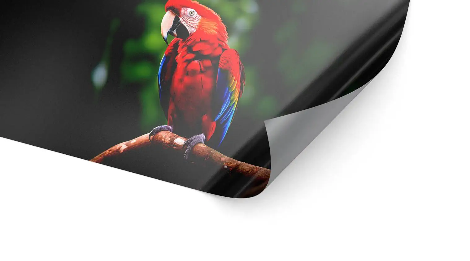 Standardfolie weiß (ablösbar)