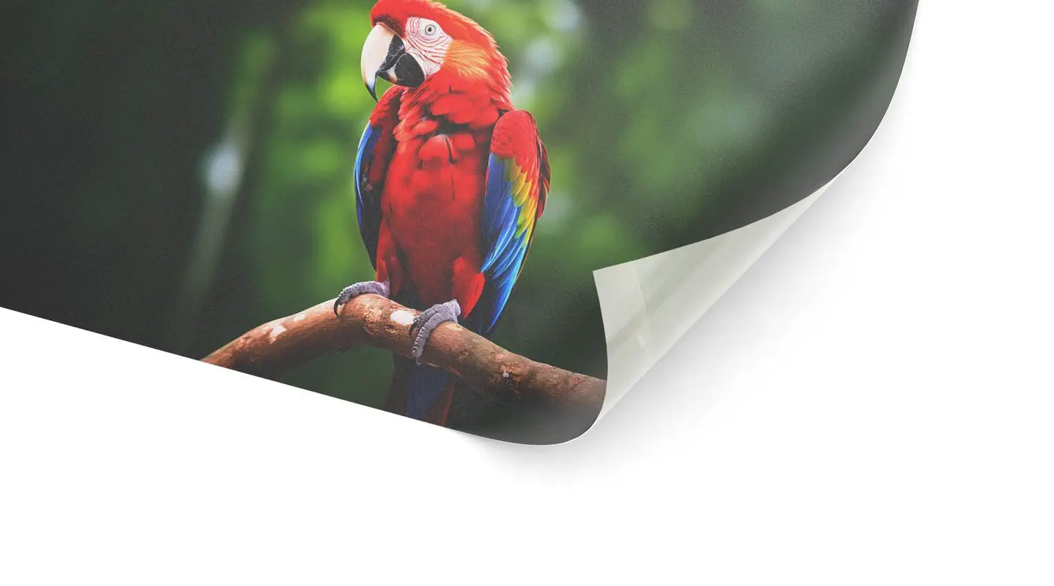 Transluzente Folie (permanent)