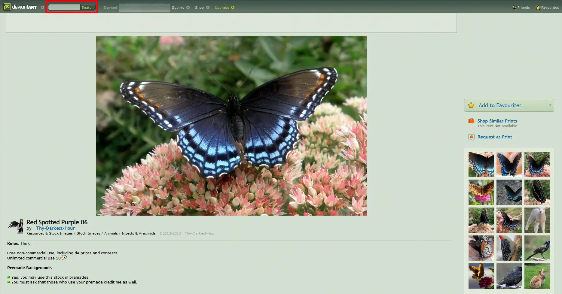 Kostenlose Bilddatenbanken 20 Informationen zur deviantART Bilddatenbanken