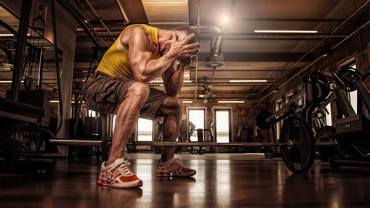 Photoshop Tutorial Gegenlichteffekt Photoshop Tutorial Gegenlichteffekt