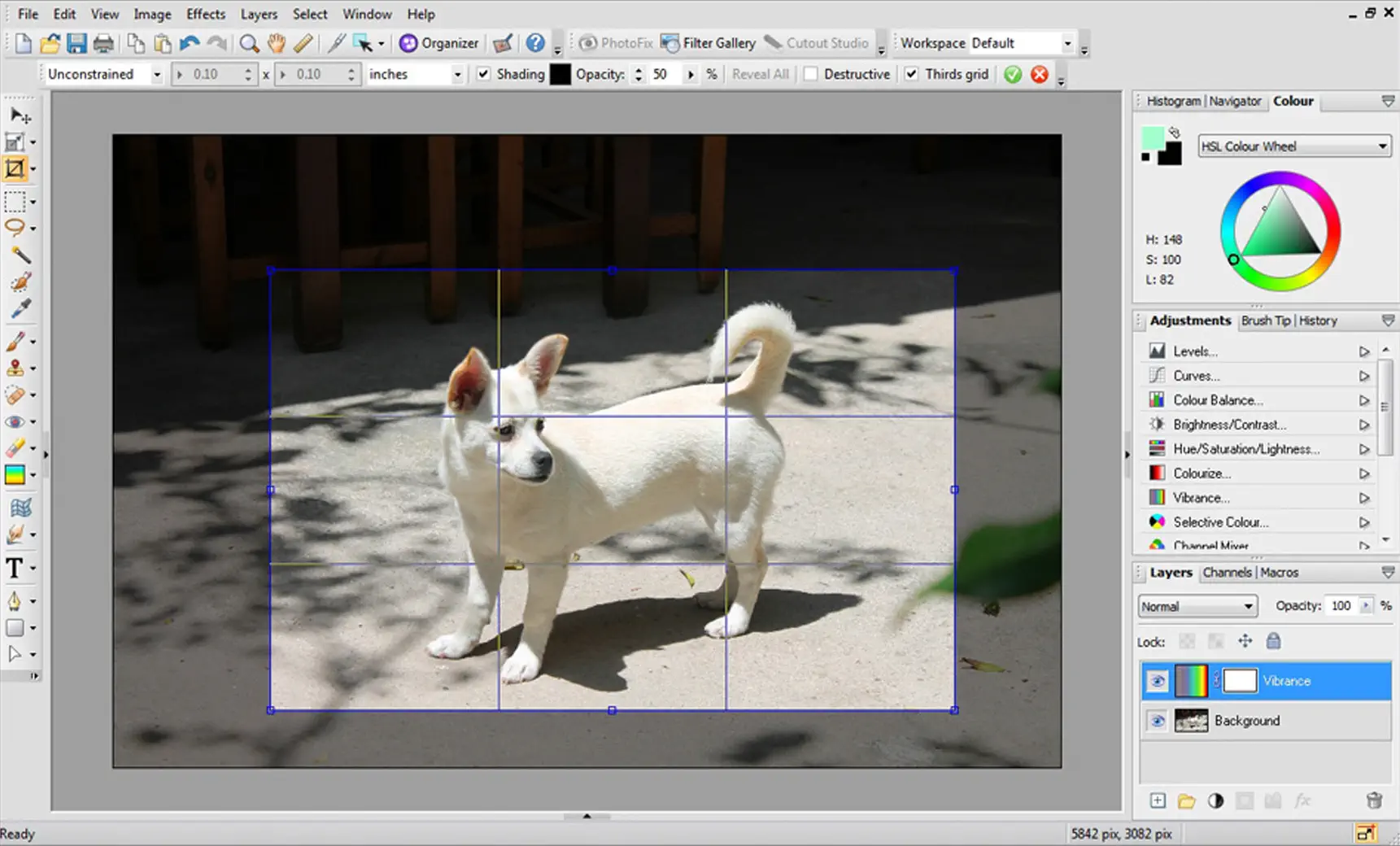 Creative Cloud Photoshop Alternative Freeware kostenlos Windows