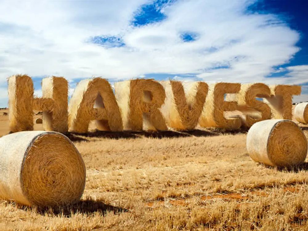 Photoshop Text Effekte 12 Schrift Effekte für Photoshop 12