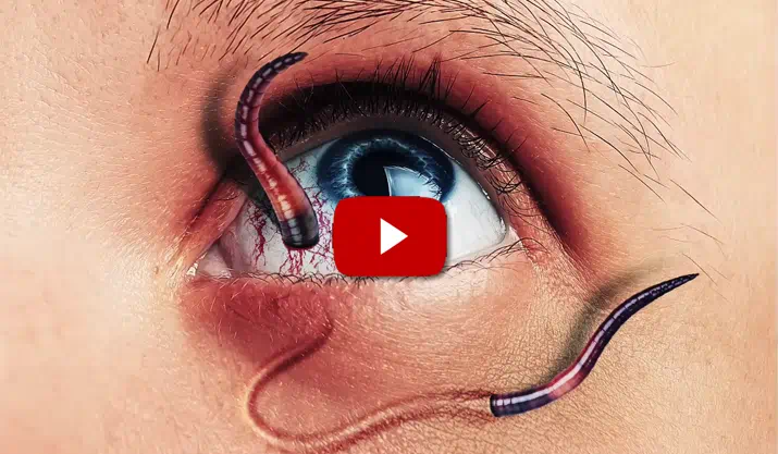 Brandneue Video-Tutorials für Photoshop & Co – 01/2015