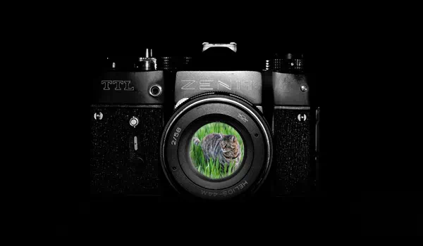 Tutorial: Analog-Effekt in Photoshop erstellen