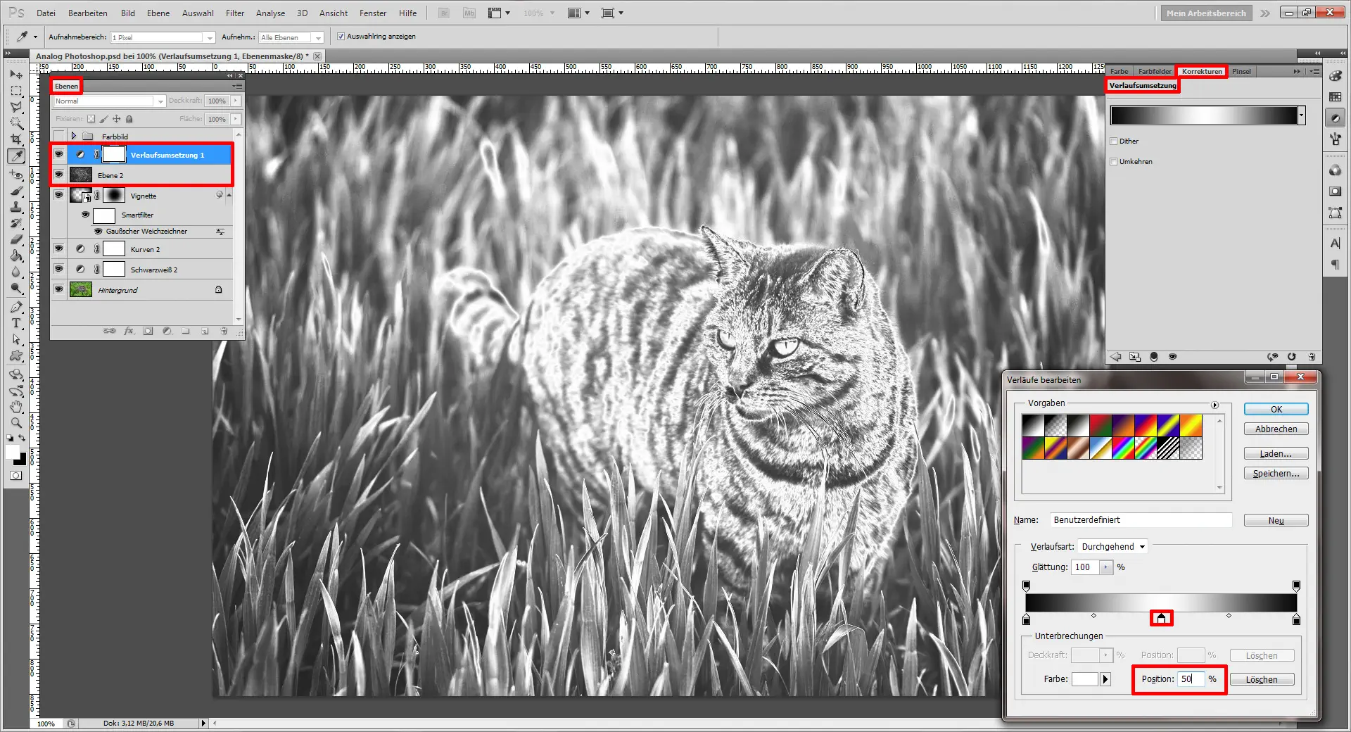 Mit einem Foto Effekt den Photoshop Analog Look nachempfinden (11)