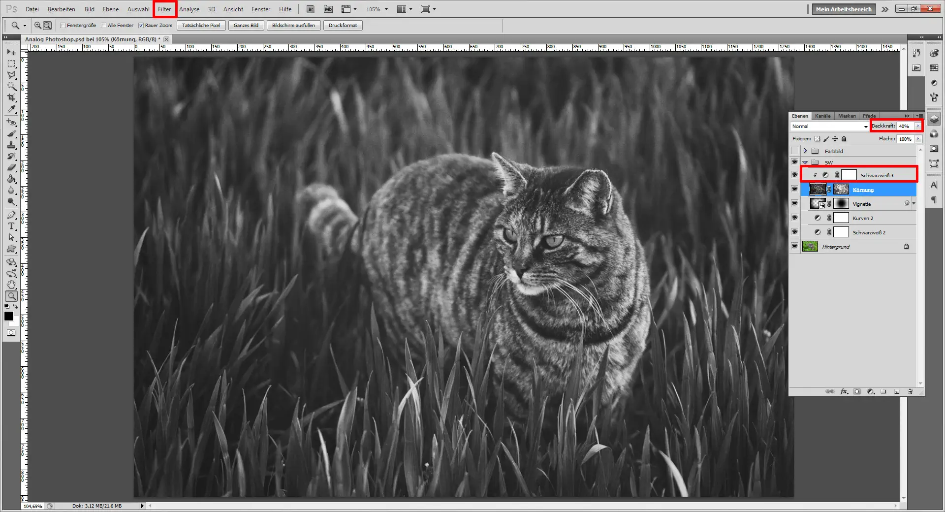 Mit einem Foto Effekt den Photoshop Analog Look nachempfinden (13)
