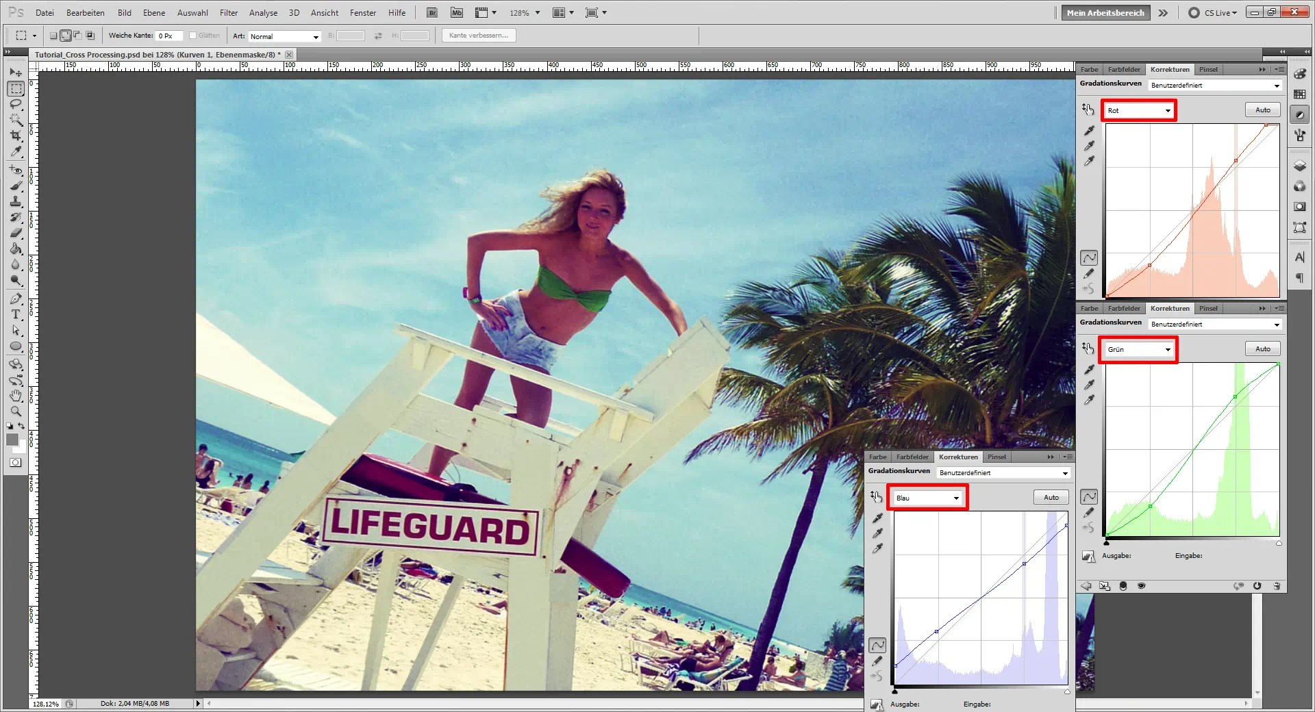 Tutorial Cross Processing (4)