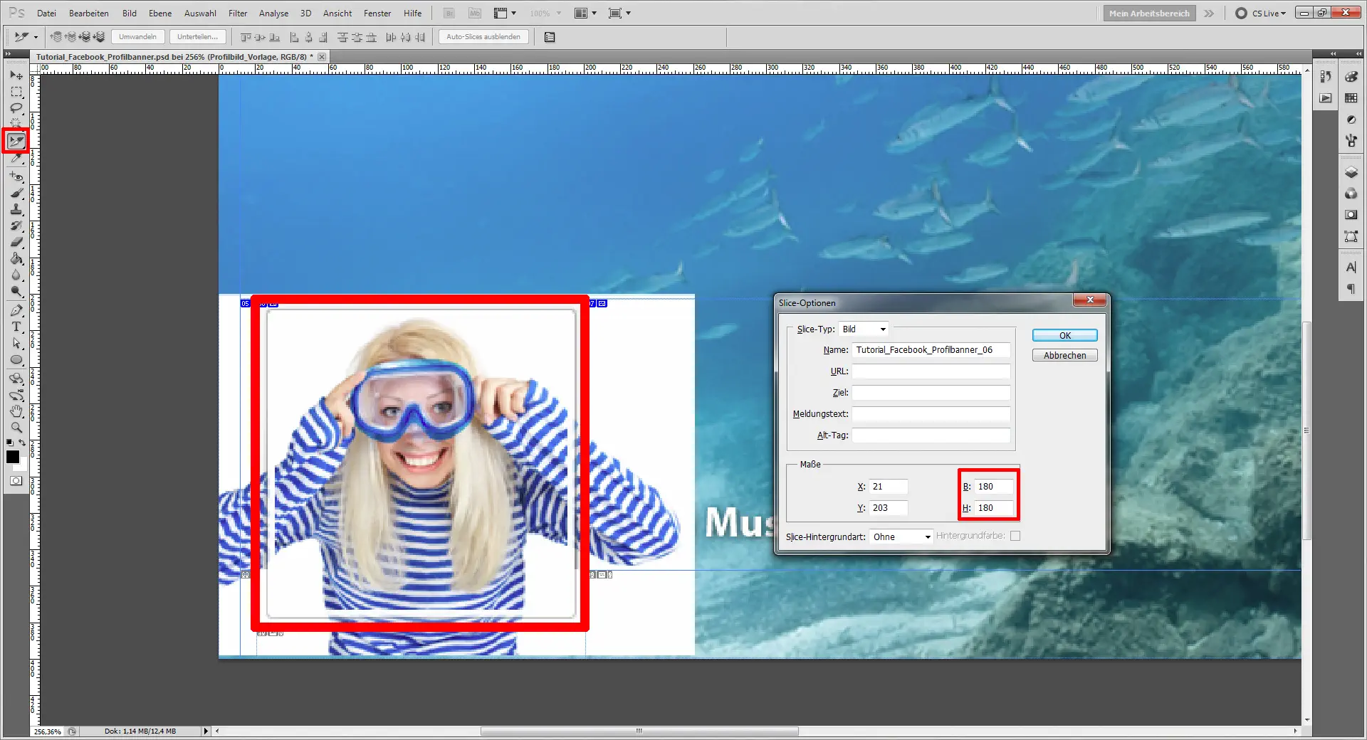 tutorial facebook profilbanner 6