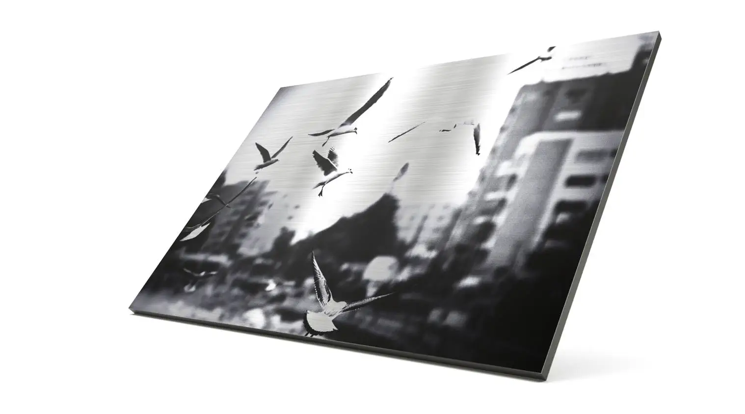 Praxisschilder aus gebürstetem Aluminium online bestellen