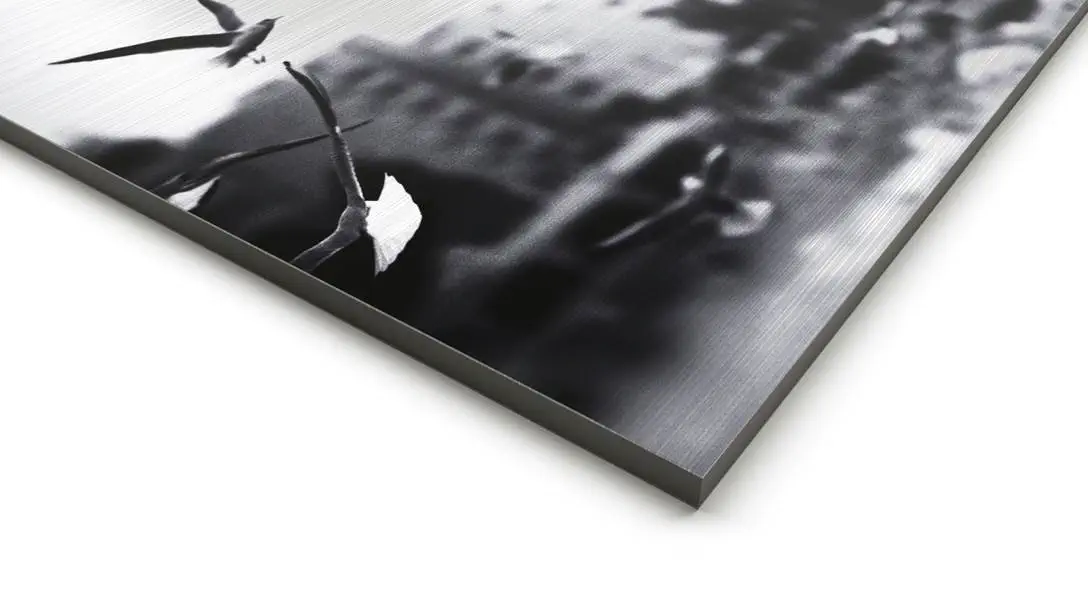 Artikel Schilder auf Aluverbund (gebürstet)