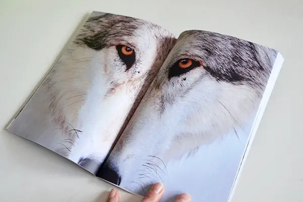 Claudia Lecnik Claudia Lecnik