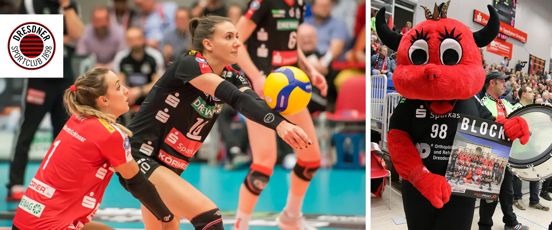 Dresdener Sportclub Dresdener Sportclub