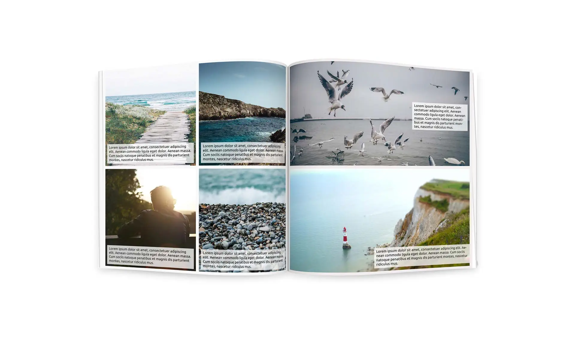 Gestaltet ein professionelles Fotobuch mit Adobe InDesign