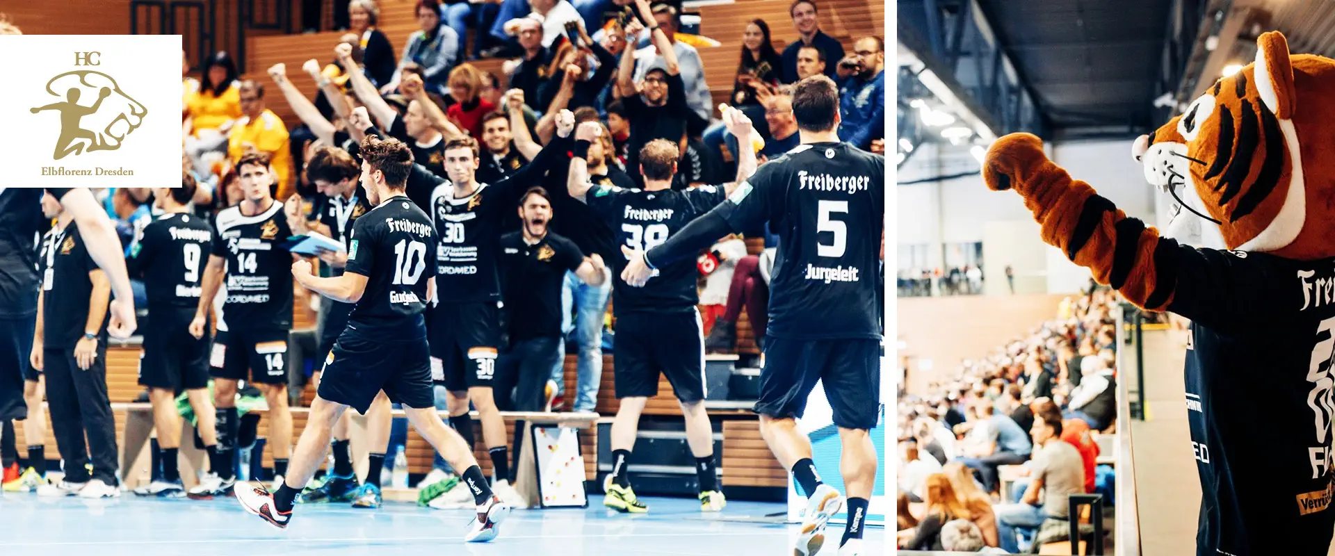 hc elbflorenz 2 1920x800