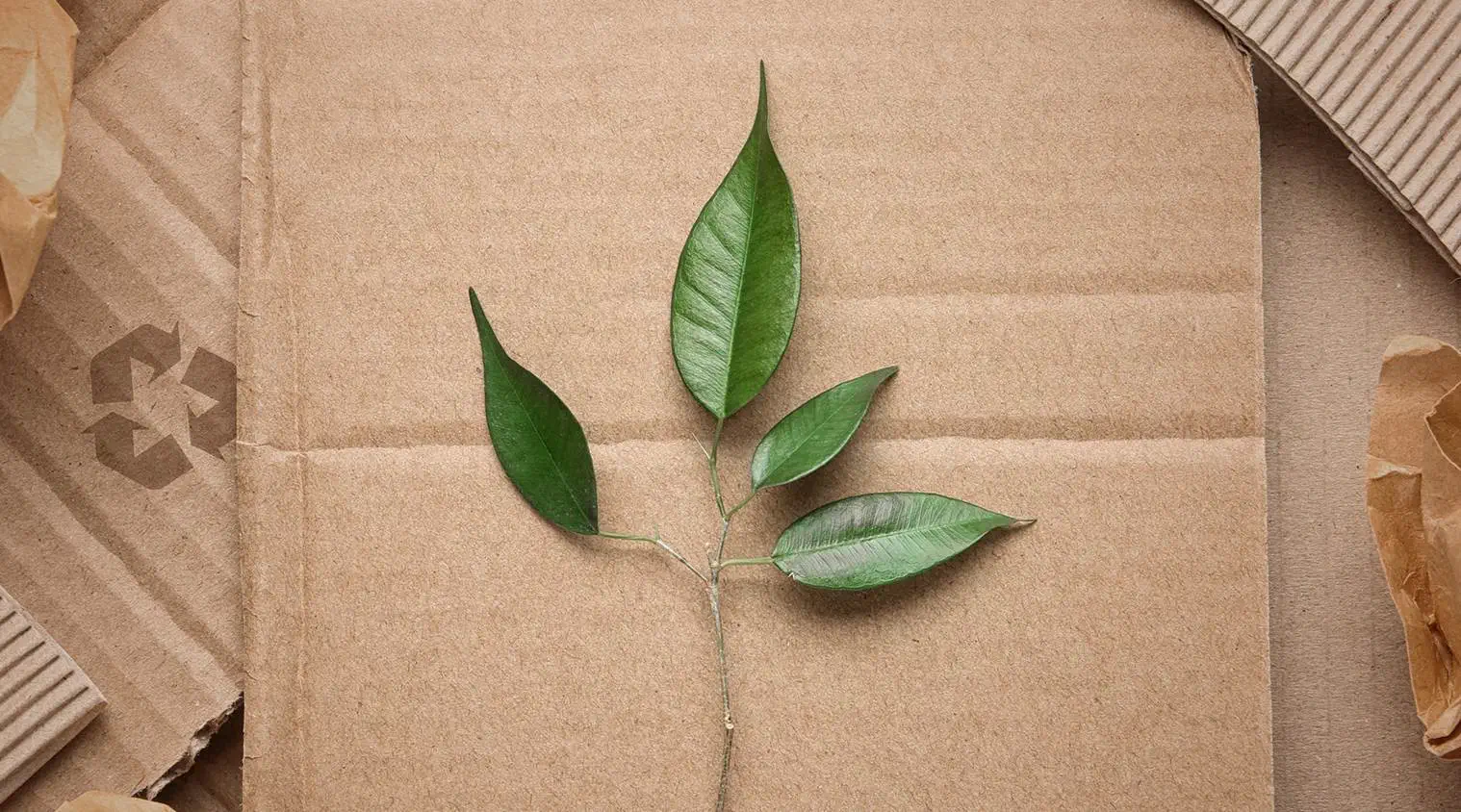 Nachhaltigkeit & Umweltschutz