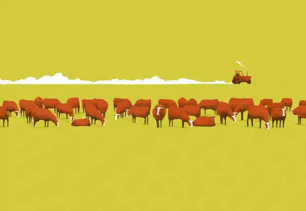 professionelle illustrationen minimales design 5