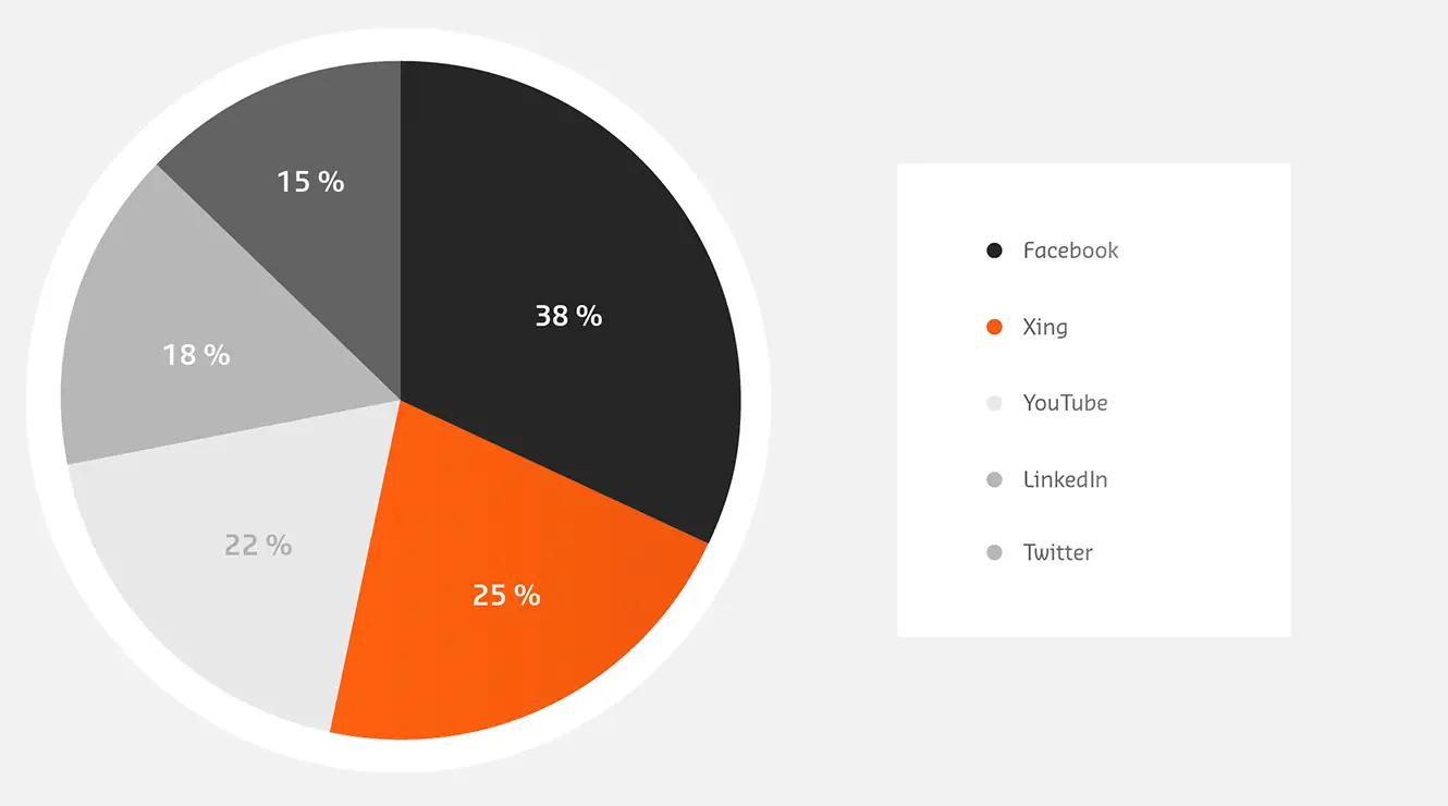 Kreisdiagramm der wichtigsten Social Media Plattformen