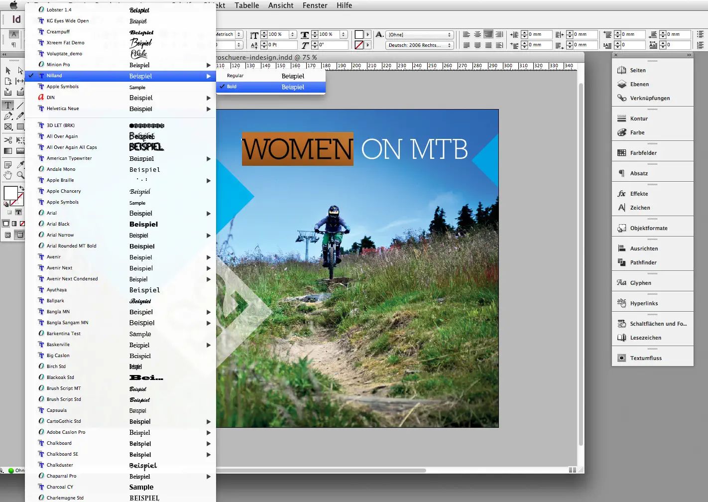 Titel Broschüre Indesign